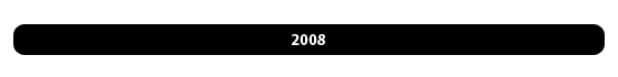 BandeauReport2008