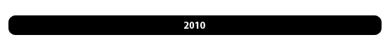 BandeauReport2010