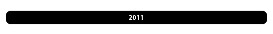 BandeauReport2011