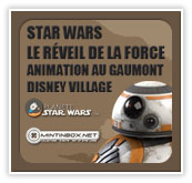 Pave_TFA_GaumontDisneyVillage