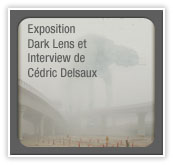 Pave_expo_delsaux2010