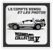 Pave_migennes_2009