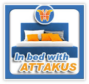 Pave_Attakus_bed