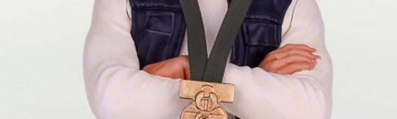 Gentle Giant : Han Solo Hero of Yavin Mini-Buste