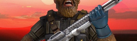 Gentle Giant – Chewbacca McQuarrie Concept Mini Bust