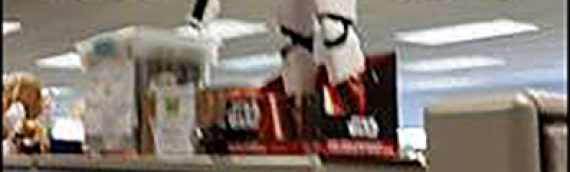 Jakks Pacific – The Force Awakens