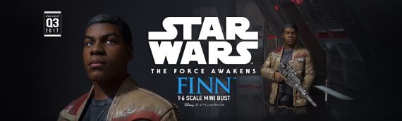 Gentle Giant : Star Wars The Force Awakens Finn Mini-Bust
