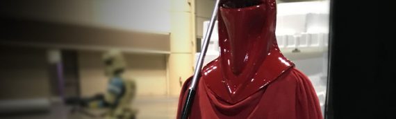Hot Toys – Royal Gard Sixth Scale Figure