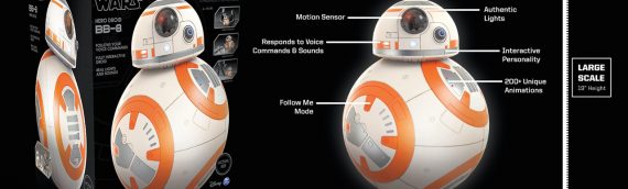 Spin Master : Hero BB-8 radio commandé