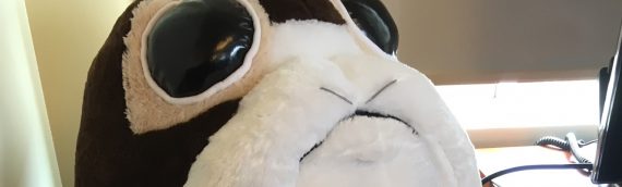 Porg Géant en peluche, exclu Target