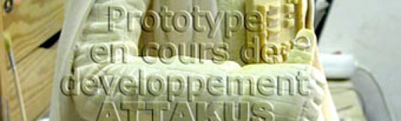 Attakus