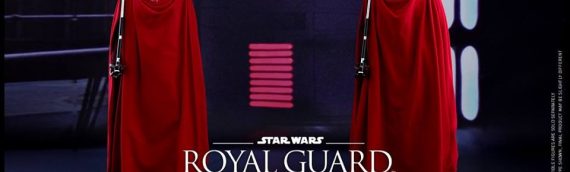 Hot Toys – Royal Guard Sixth Scale Figure