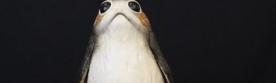 Vente aux enchères exceptionnelle chez Lucasfilm