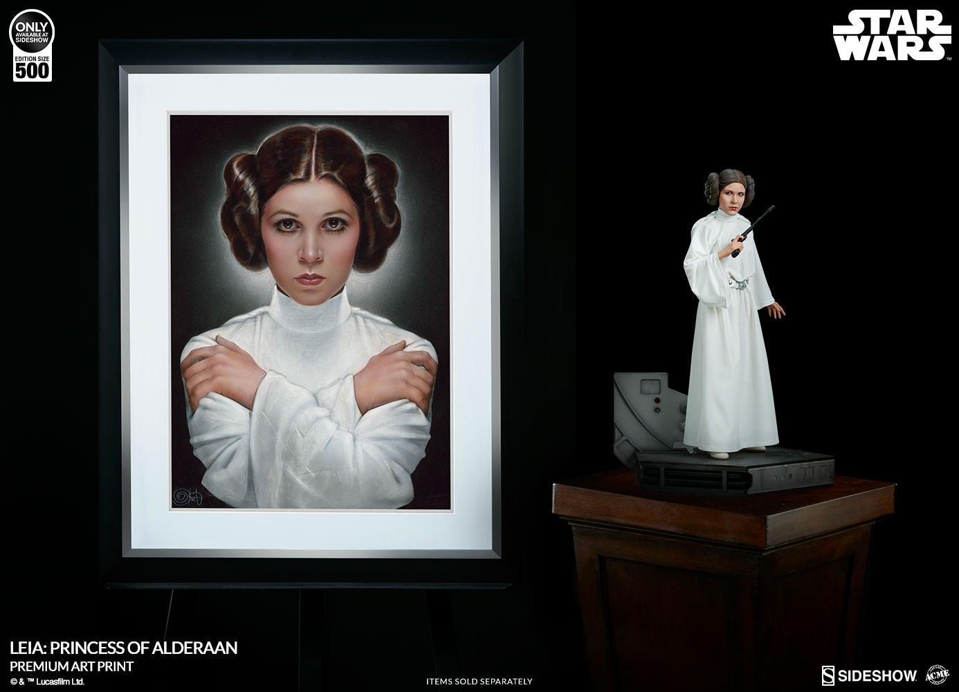 Sideshow Collectibles Princess Leia Artprint