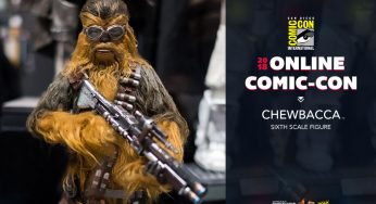 HOT TOYS – SOLO A Star Wars Story Chewbacca Sixth Scale Figure