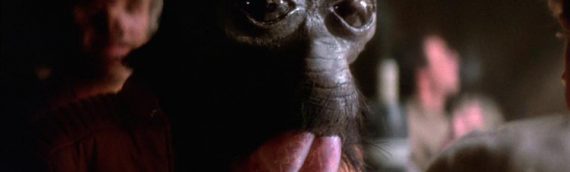 Gentle Giant – Ponda Baba remporte le Fan Choice !