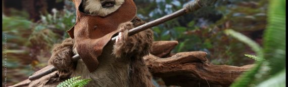 HOT TOYS – Wicket Sixth Scale Figure