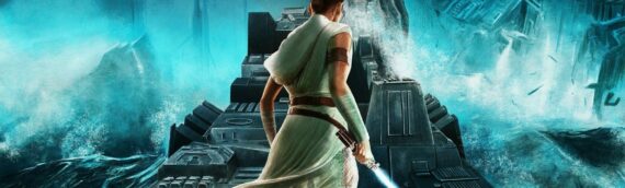 Star Wars – The Rise of Skywalker : Premier poster d’une série par Adam Stothard