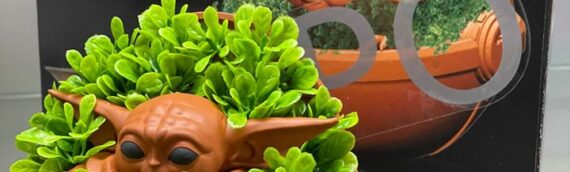 Chia Pet : Un set de jardinage maison The Child