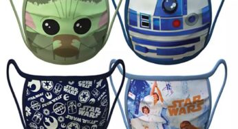 Les masques sont disponibles sur le disneyshop.fr
