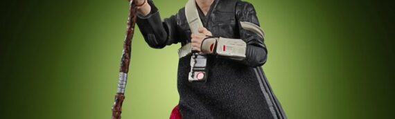 HASBRO – Quoi de neuf dans la gamme The Vintage Collection