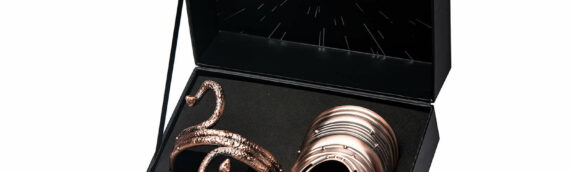 Zavvi : Un coffret des bijoux de Leïa en esclave de Jabba