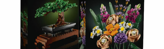 LEGO – La nouvelle collection « Botanique »