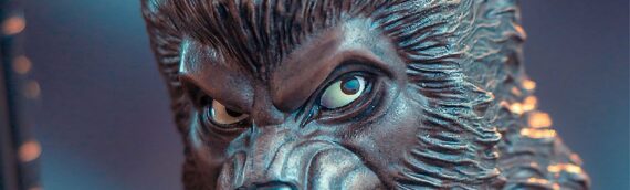 Gentle Giant – Zoom sur le mini-buste de Lak Sivrak