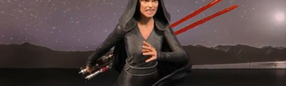 Gentle Giant : Le mini buste de Dark Rey