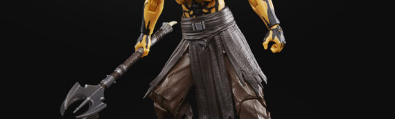 Hasbro – The Black Series : Deux nouveaux personnages du jeu Jedi Fallen Order