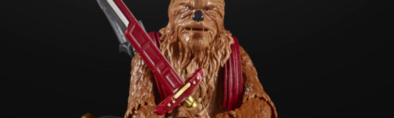 Hasbro – TBS : Un wookie rejoint la collection Gaming Greats