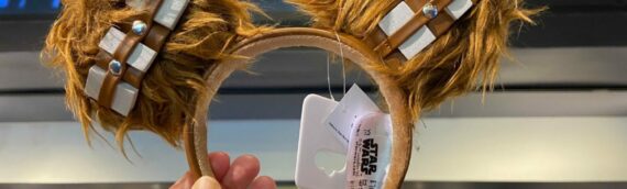 Disney – Les parcs américains font le plein de « Mickey Ears » Star Wars