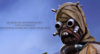 Le Staff de MINTINBOX vous souhaite une bonne année de collection 2022