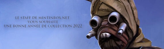 Le Staff de MINTINBOX vous souhaite une bonne année de collection 2022