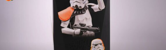 Hot Toys : Unboxing de la figurine du Stormtrooper Squad leader de la  série The Mandalorian