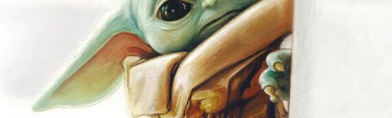 Star wars Insider : The Official Collector’s Edition « The Mandalorian » en deux volumes