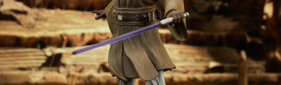 Gentle Giant : La statuette de Mace Windu