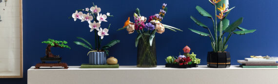 LEGO – La collection « Botannique » s’agrandit avec 2 nouveaux modèles