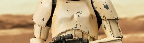 Gentle Giant – Star wars Celebration : Le buste du Stormtrooper Remnant