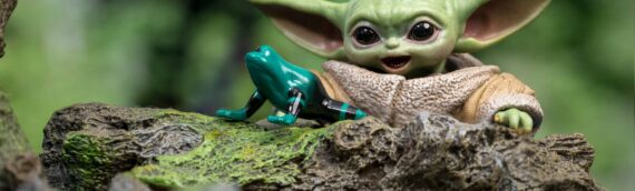 HOT TOYS – Grogu Set Sixth Scale Figures en version de production