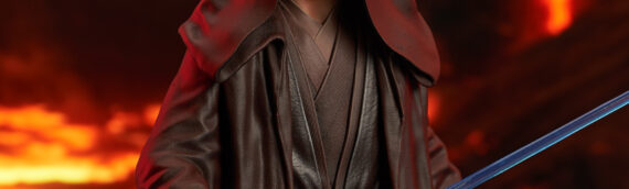 Gentle Giant – Dark Anakin Skywalker Mini Buste exclu PGM