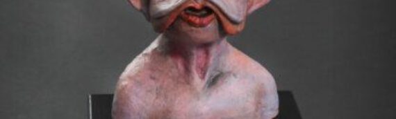 Regal Robot : Nien Nunb comme nouveau buste “Concept”