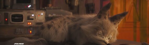 Star Wars Lofi: Afficher le Loth Cat de Sabine pendant 12 heures dans votre salon