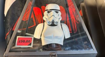 Star Wars Galaxy Edge – Buste de Stormtrooper