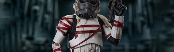 Gentle Giant – Night Trooper (Ahsoka) Mini-Buste