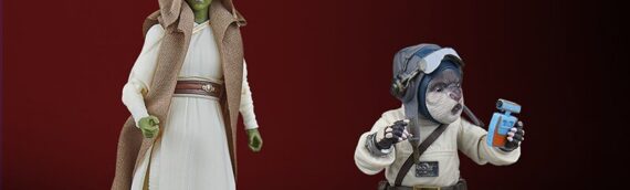 Hasbro – Star Wars The Black Series Jedi Master Vernestra Rwoh et Bazil