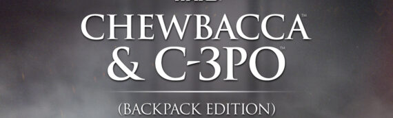 HOT TOYS – Chewbacca & C-3PO (Backpack Edition) Sixth Scale Figures Set