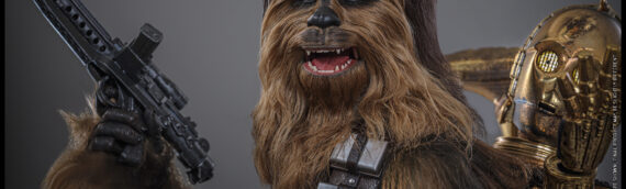 Hot Toys : Chewbacca & C3-PO sixth scale figure