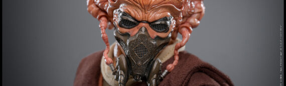 Hot Toys : Le Maitre Jedi Plo Koon