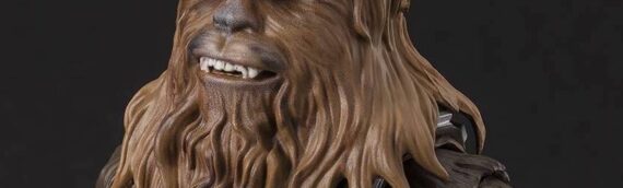 S.H.FIGUARTS: Chewbacca A New Hope (Classic Version)